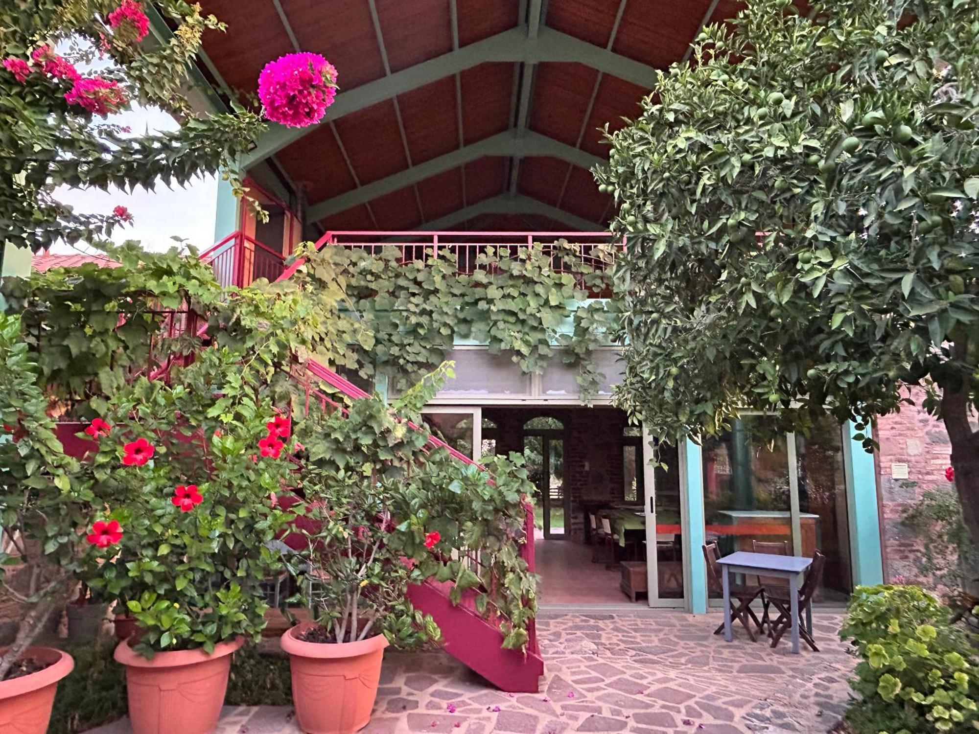 Villa Daphnis & Chloe Pyrgi Thermis Exterior foto